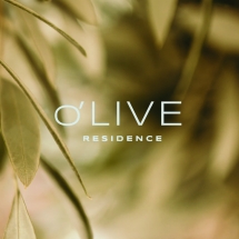 olive-residence-visual-identity (12)