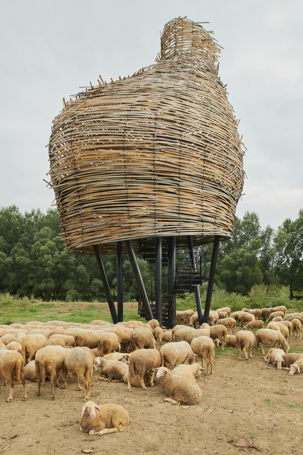 lonjsko-polje-vidikovci-mia-roth-cerina-tonci-cerina (1)