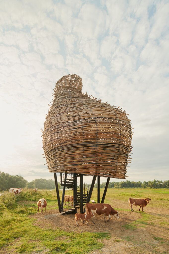 lonjsko-polje-vidikovci-mia-roth-cerina-tonci-cerina (2)