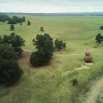 lonjsko-polje-vidikovci-mia-roth-cerina-tonci-cerina (6)