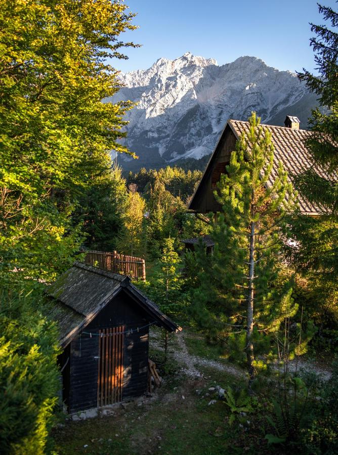 idyllic-cottage-in-the-alps-slovenia (2)